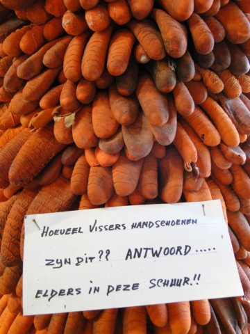 HWK Texel 302.jpg